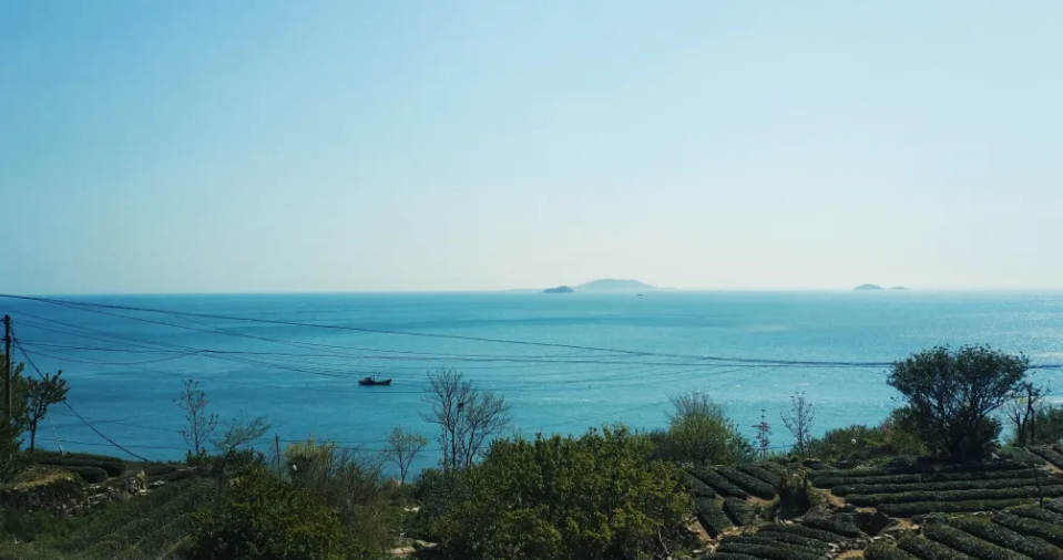 圖片1.png 圖片1.png